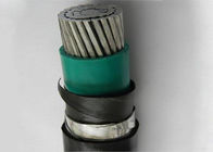 Overhead 0.6/1kv Xlpe PVC Insulated Cable 50mm2